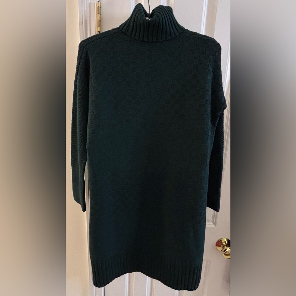 Annina Merino Wool Forest Green Turtleneck Sweater Dress - Picture 4 of 9